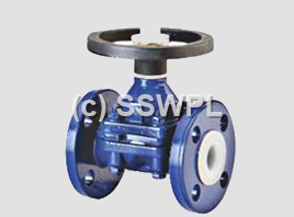 Lined Valves